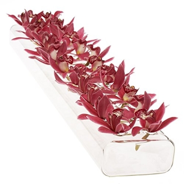 Elegant CHIVE Hudson 2 Flute Glass Flower Vase