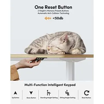 BANTI 44"x24" Standing Desk, Electric Stand up Height Adjustable Home Office Table, Sit Stand Desk, Light Rustic Brown Top