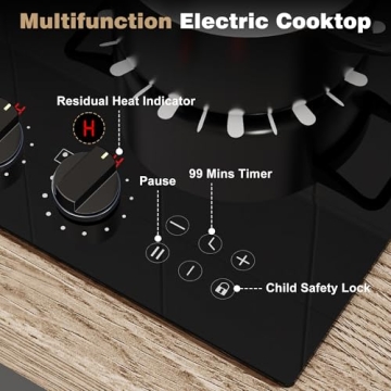 Karinear 110V Electric Cooktop with Dual Burners