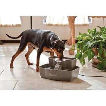 PetSafe Multi-Tier Pet Fountain – Large Waterer Great for Cats and Dogs – 2 Heights to Drink fro...