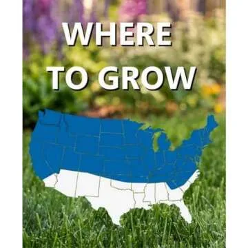 Jonathan Green Black Beauty Grass Seed 3 Lb for Lawns