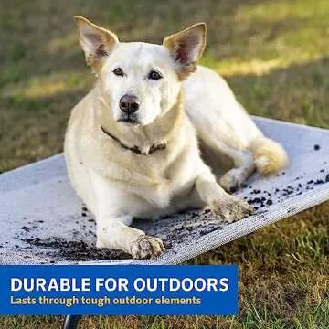 COOLAROO Original Cooling Elevated Dog Bed for Comfort