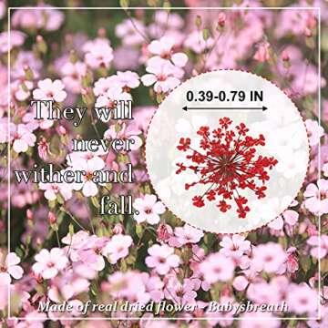 Pressed Dried Flowers Gypsophila for Resin Real Dried Pressed Flower, Natural Pressed Flowers for Sc...