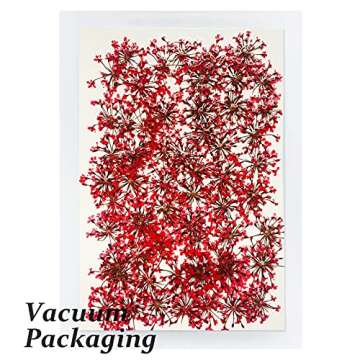 Pressed Dried Flowers Gypsophila for Resin Real Dried Pressed Flower, Natural Pressed Flowers for Scrapbooking DIY Candle Decoration Resin Jewelry Crafts Making (Rose)