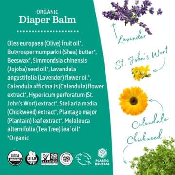 Earth Mama Organic Economy Size Diaper Balm | Diaper Cream for Baby | EWG Verified, Petroleum & Artificial Fragrance-Free with Calendula for Sensitive Skin, 4-Fluid Ounce