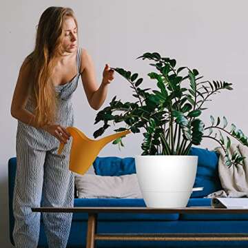 Self-Watering Plant Pots - Large 10 Inch Planters