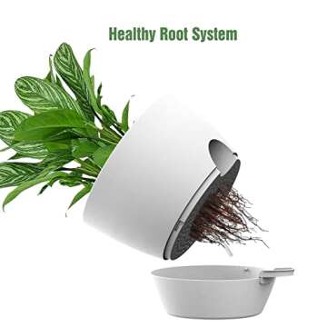 Self-Watering Plant Pots - Large 10 Inch Planters