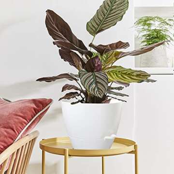 Self-Watering Plant Pots - Large 10 Inch Planters