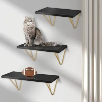 Luxurious DCIGNA Floating Shelves for Stunning Wall Decor