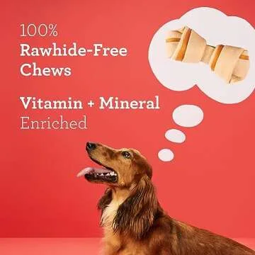 DreamBone Mini Chews With Real Sweet Potato, Rawhide-Free Chews For Dogs, 24 Count