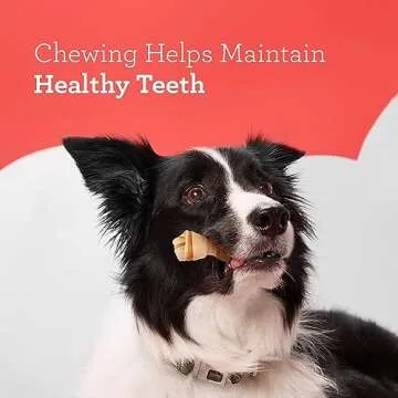 DreamBone Mini Chews With Real Sweet Potato, Rawhide-Free Chews For Dogs, 24 Count