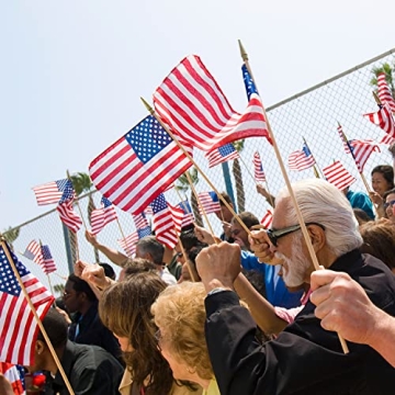 40 Pack Small American Flags for Patriotic Celebrations