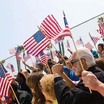 40 Pack Small American Flags for Patriotic Celebrations
