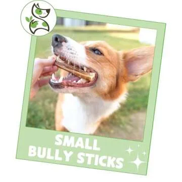 Nature Gnaws Small Bully Sticks for Dogs 5-6" (15 Count) - Long Lasting for Light Chewers and Puppies - Natural Thin Beef Dog Chew Bones - Rawhide Free