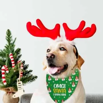 2 Pack Funny Christmas Dog Bandanas for Pets