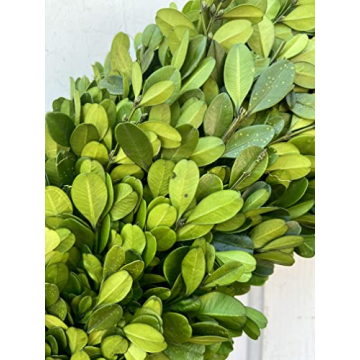 20" Real Preserved Boxwood Wreath for Timeless Decor
