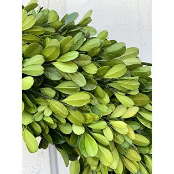 20" Real Preserved Boxwood Wreath for Timeless Decor