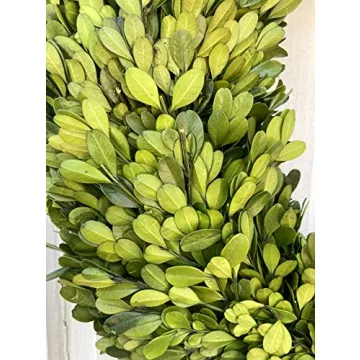 20" Real Preserved Boxwood Wreath for Timeless Decor