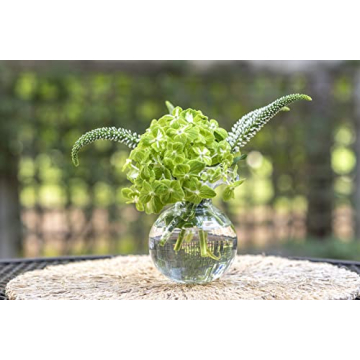 Vietri Hibiscus Glass Clear Bud Vase 5.5" Elegant Floral Display