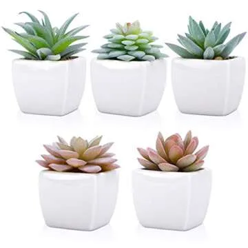 Lifelike Artificial Succulent Set for Home and Office