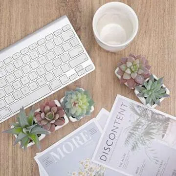 Lifelike Artificial Succulent Set for Home and Office