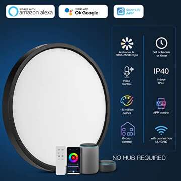 TALOYA Smart Ceiling Light, Black Led Flush Mount Ceiling Light Alexa Google Home Round Light, 15.8 Inch Light Fixtures Ceiling Mount 28W White Front/RGB Back Round Light for Bedroom