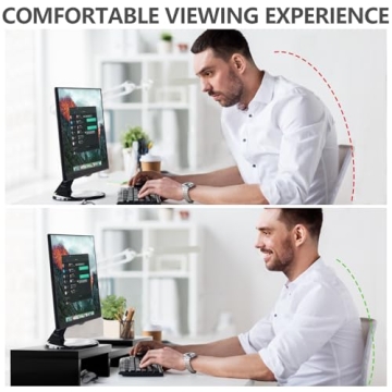 TAVR Dual Monitor Stand Riser for 2 Monitors