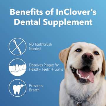 In Clover Dental Health Powder for Dogs and Cats, Natural Pet Supplement, BioBrilliant Dog and Cat Teeth Treat, Helps Dental Health, Daily Supplement for Pets, Natural Whey Goat Milk, Sweeten Breath