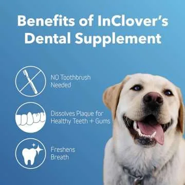 In Clover Dental Health Powder for Dogs and Cats, Natural Pet Supplement, BioBrilliant Dog and Cat Teeth Treat, Helps Dental Health, Daily Supplement for Pets, Natural Whey Goat Milk, Sweeten Breath
