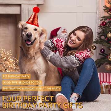 Cute 4 Pack Dog Birthday Hats for Pets Party Fun