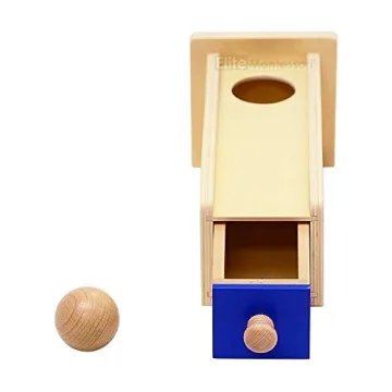 Elite Montessori Object Permanence Wooden Box Educational Toy