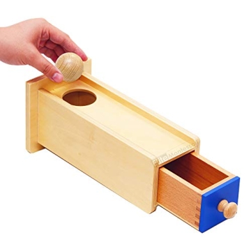 Elite Montessori Object Permanence Wooden Box Educational Toy