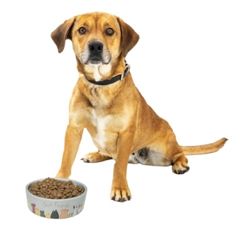 SPOT Best Friends Pet Food Dish - Food or Water Ceramic Bowl for Pets, Ideal for Medium & Large Dogs...