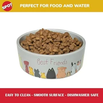 Durable SPOT Ceramic Dog Bowl for Medium & Large Dogs