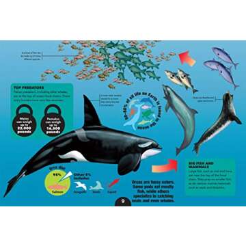 3-D Explorer: Oceans - Interactive Learning for Kids