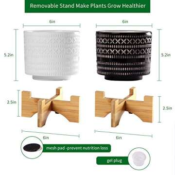 BUYMAX Plant Pots–6 inch Glazed Ceramic Flower Pot with Drainage Holes - Gardening Home Desktop Office Windowsill Decoration Gift Set 2 - Plants NOT Included