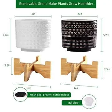 BUYMAX Plant Pots–6 inch Glazed Ceramic Flower Pot with Drainage Holes - Gardening Home Desktop Office Windowsill Decoration Gift Set 2 - Plants NOT Included