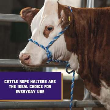 Weaver Livestock Braided Poly Rope Cattle Halter, Adjustable Style Cow Calf Halter, Livestock Handli...