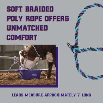Weaver Livestock Braided Poly Rope Cattle Halter, Adjustable Style Cow Calf Halter, Livestock Handling Equipment for Showing, Purple/Black/Teal