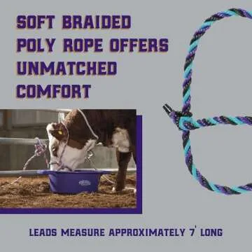 Weaver Livestock Braided Poly Rope Cattle Halter, Adjustable Style Cow Calf Halter, Livestock Handling Equipment for Showing, Purple/Black/Teal