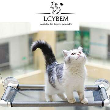 Lcybem Cat Hammocks for Window - Seat Suction Cups Space Saving Cat Bed, Pet Resting Seat Safety Cat Window Perch for Large Cats, Providing All Around 360° Sunbath for Indoor, Weighted up to 33lbs
