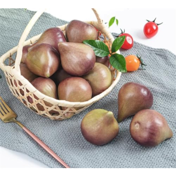 Skyseen 8PCS Realistic Figs for Home and Photography Decor