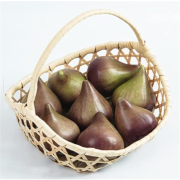 Skyseen 8PCS Realistic Figs for Home and Photography Decor