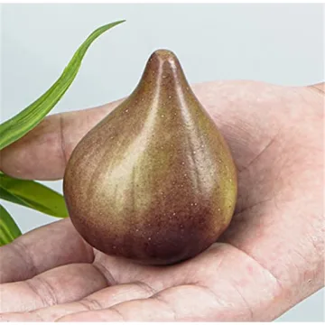 Skyseen 8PCS Realistic Figs for Home and Photography Decor