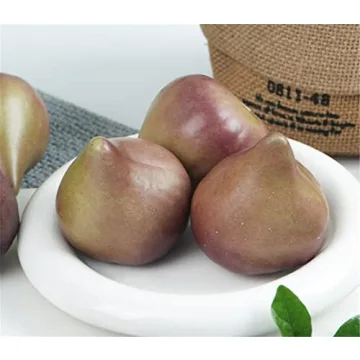 Skyseen 8PCS Realistic Figs for Home and Photography Decor