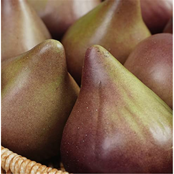 Skyseen 8PCS Realistic Figs for Home and Photography Decor