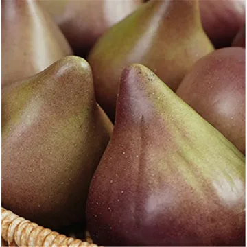 Skyseen 8PCS Realistic Figs for Home and Photography Decor