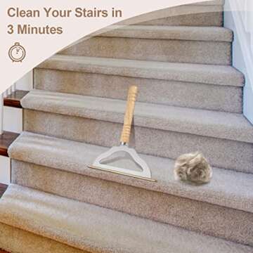 V2.0 Large Carpet Rake Pet Hair Remover, Reusable Long Handle Low Pile Carpet Scraper Lint Remover for Cat Hair Removal, Metal Dog Hair Remover Lint Brush, Rugs Couch Furniture Stairs Fabric Shaver