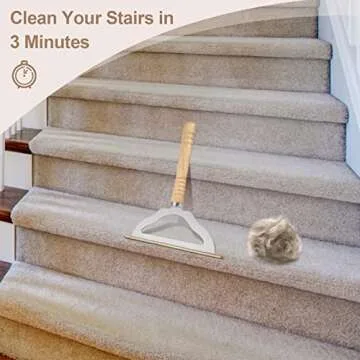 V2.0 Large Carpet Rake Pet Hair Remover, Reusable Long Handle Low Pile Carpet Scraper Lint Remover for Cat Hair Removal, Metal Dog Hair Remover Lint Brush, Rugs Couch Furniture Stairs Fabric Shaver