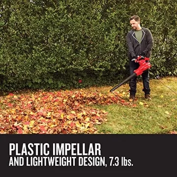 Powerful CRAFTSMAN Leaf Blower, Vacuum & Mulcher - 230 MPH Speed